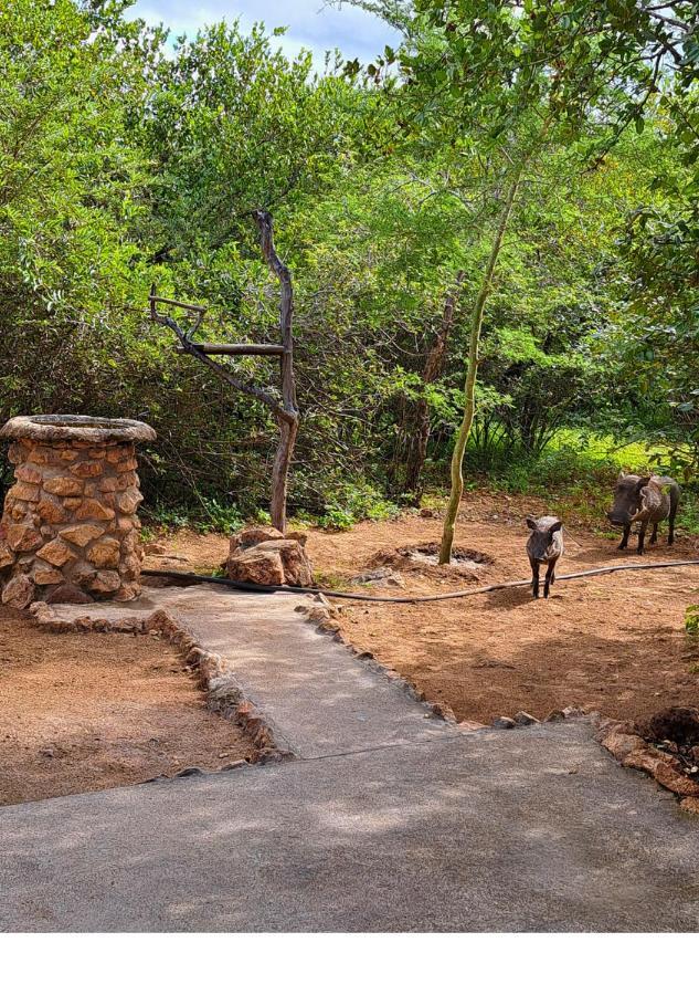 Villa Lion King Marloth Park Exterior foto