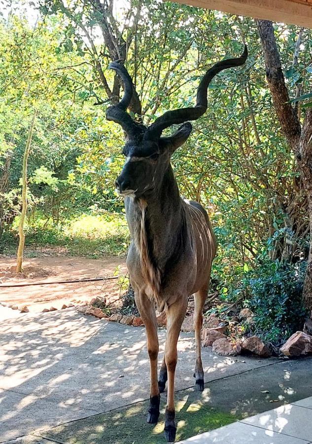 Villa Lion King Marloth Park Exterior foto