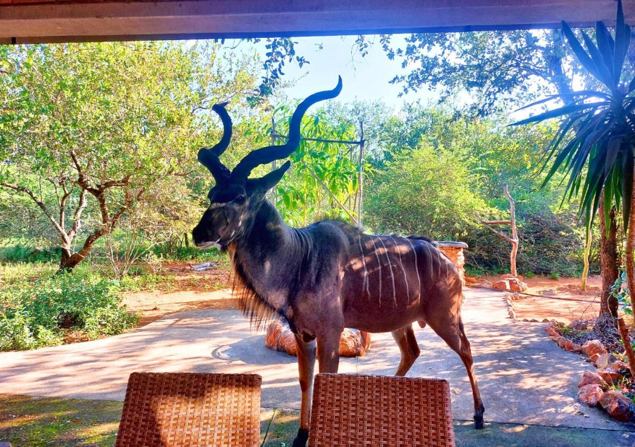 Villa Lion King Marloth Park Exterior foto