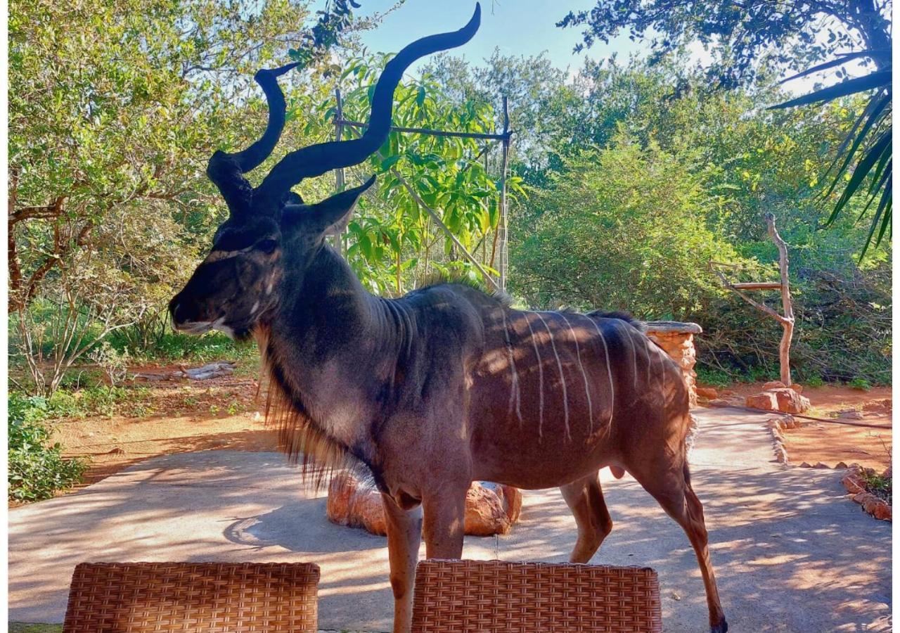 Villa Lion King Marloth Park Exterior foto