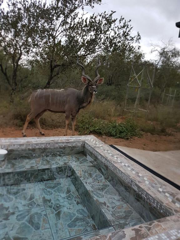 Villa Lion King Marloth Park Exterior foto